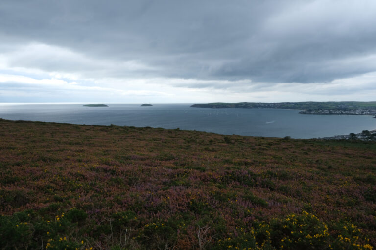 View to St Tudwal's